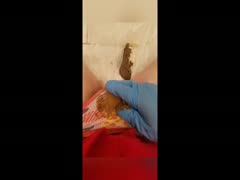 While urinating, the scat adolescent carried her phone inside the restroom.